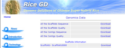Prof. Yang Huanming and his institute accomplished the first genome mapping of Chinese super hybrid rice on Oct. 12, 2001. They reported their work on April 5, 2002 issue of <I> Science</I> and published all the genomics data on their genome database at the same time.