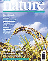 Chinese and Japanese biologists respectively reported the accurate genome sequence of chromosome 4 and 1 of rice <I>Oryza sativa</I> in Nov. 21 issue of <I>Nature</I>. Their feats were showed up as the cover story.