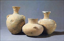 Researchers discovered remnants of a fermented drink in fragments of 9,000-year-old Chinese vessels such the three in the picture.
(credit: Z. Zhang/Inst. of Cultural Relics and Archaeol. of Henan Province)
