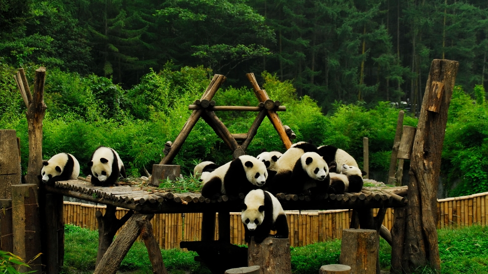 Wolong Biosphere Reserve