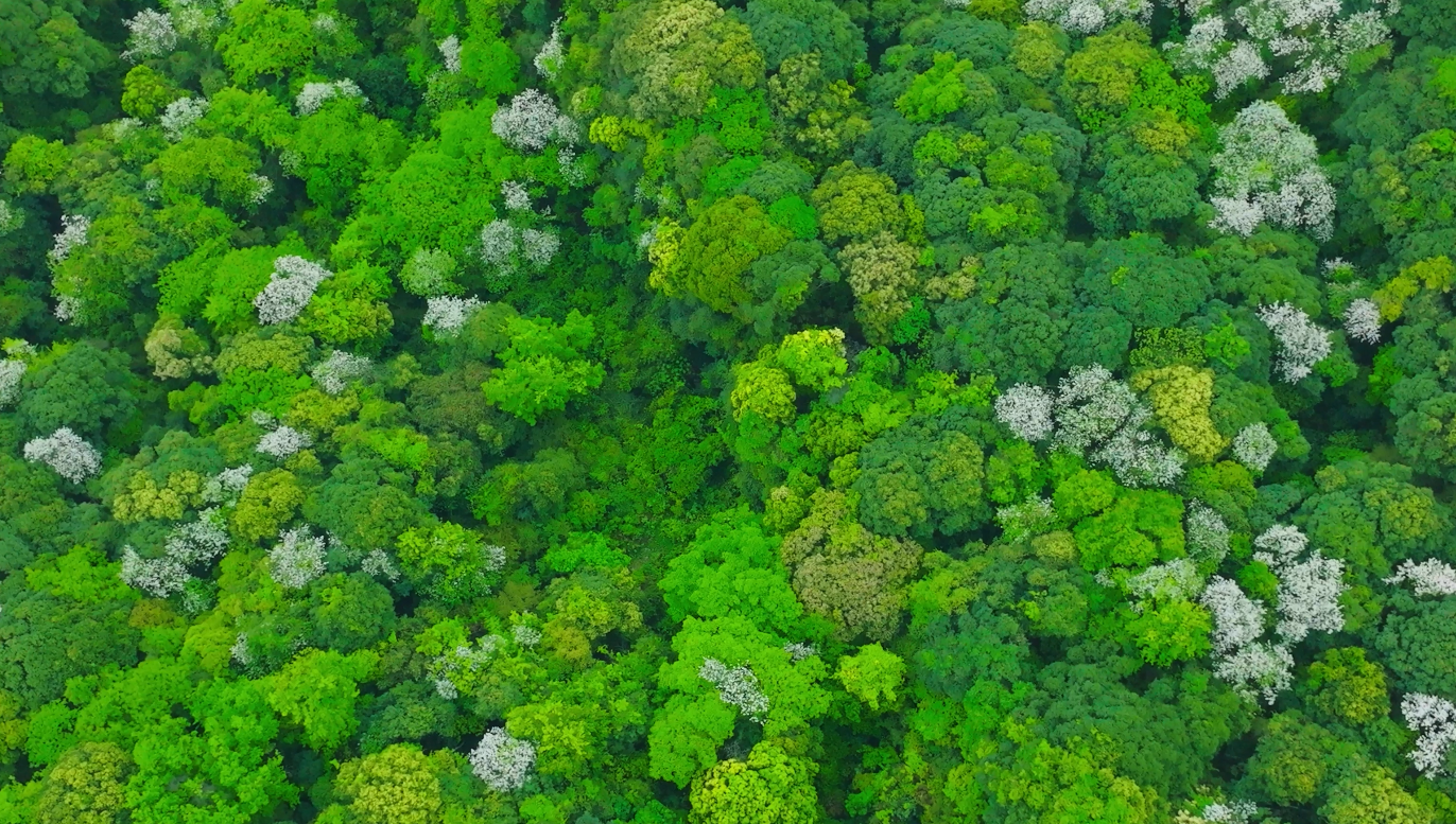 World's Largest Biosphere Reserve Summit to Open in Hangzhou, China