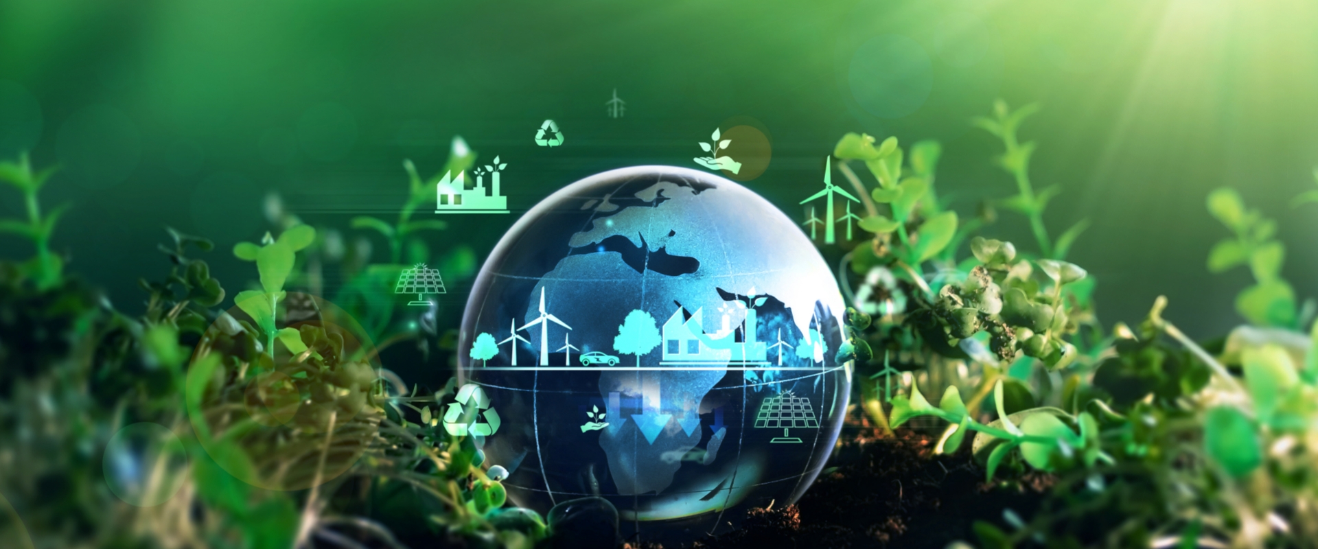 Scientists Call for Using Consumption-based Accounting of Carbon Emissions to Increase Fairness