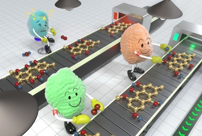 Researchers Propose a Novel Mechanism of Anthraquinone Ring Opening