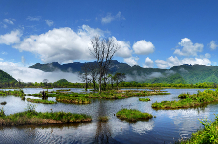 Tropical Methane Emissions Contribute Largely to Recent Changes in Global Atmospheric Methane Growth Rate