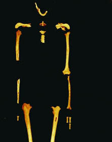 DNA Analyses Show Early Modern Human 40,000 Years Ago in Beijing Area Related to Present-Day Asians and Native Americans