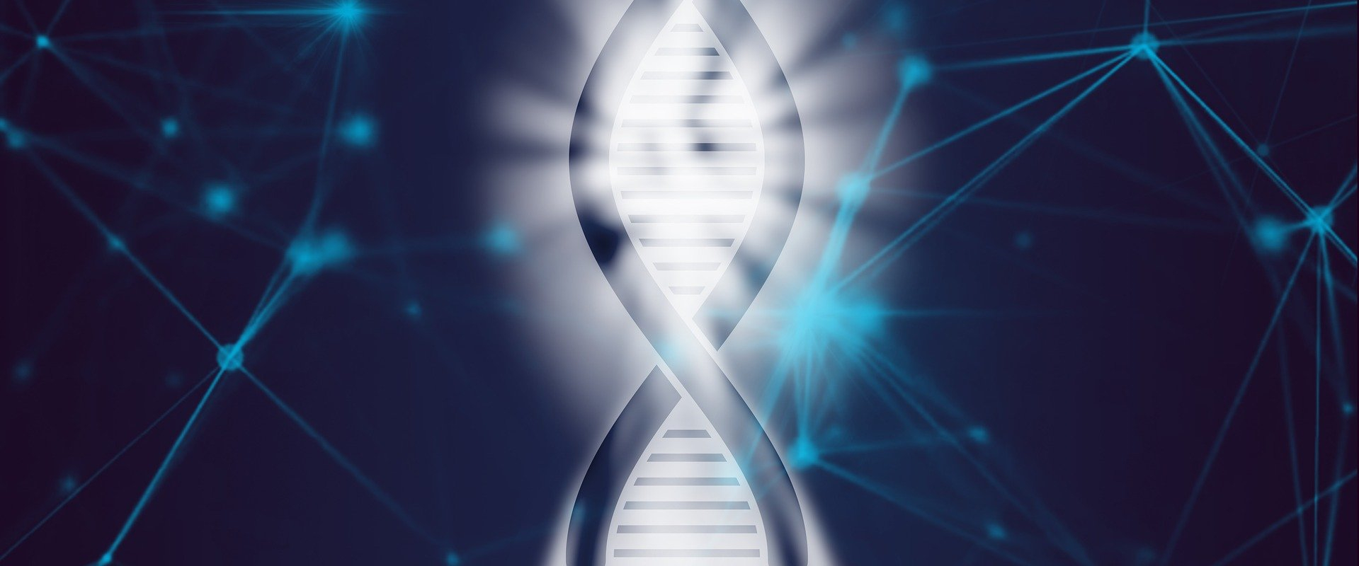 Ancient DNA Unveils Important Missing Piece of Human History