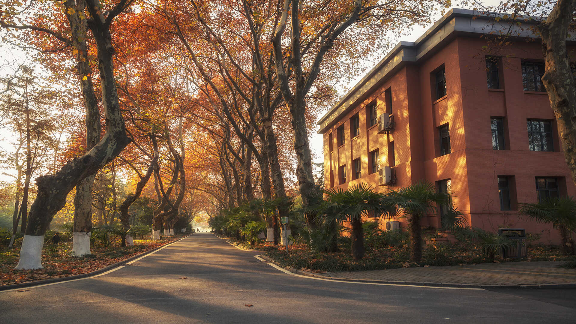 Autumn at University of Science and Technology of China's East Campus
