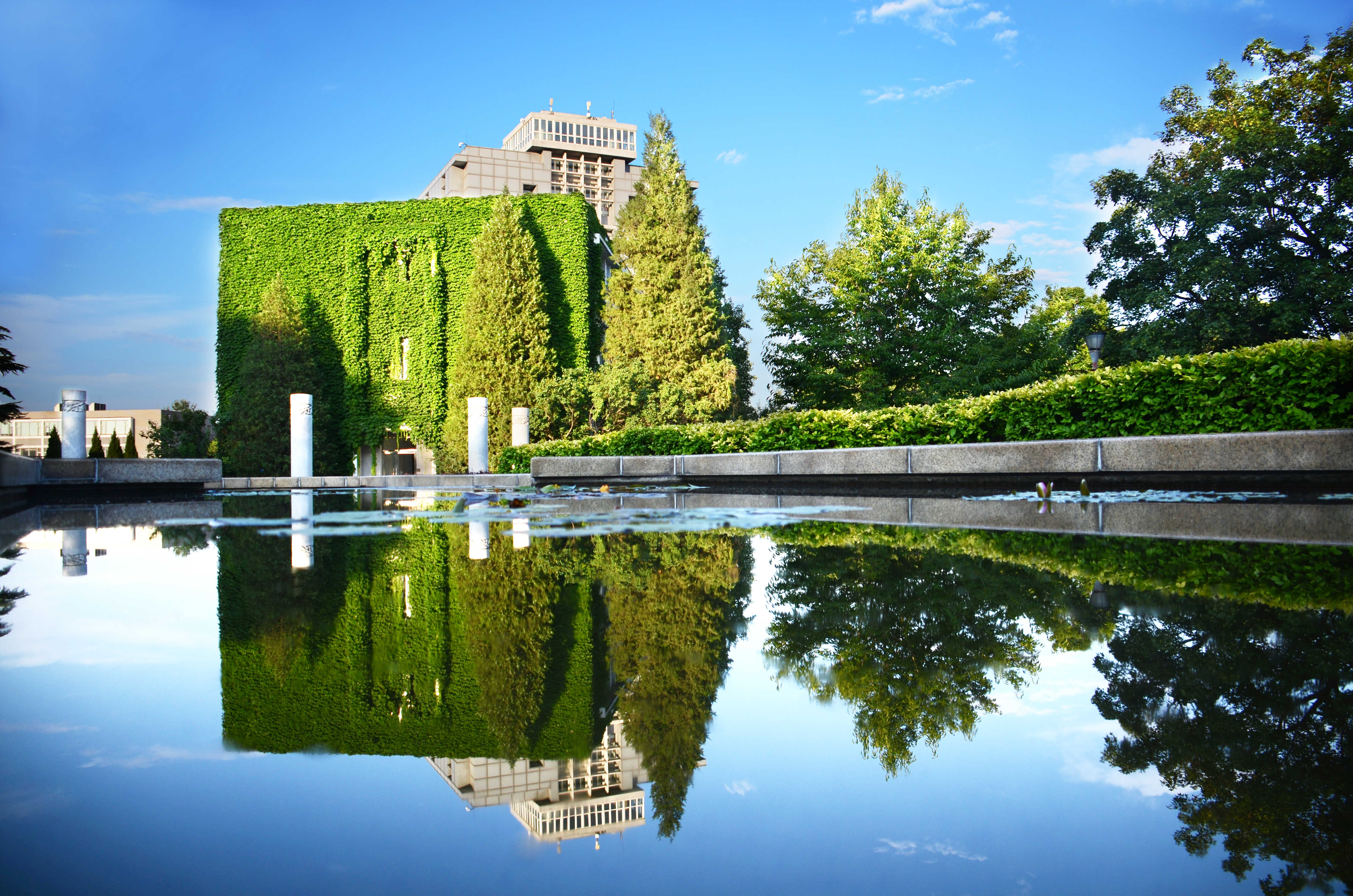 A corner of Institute of Botany