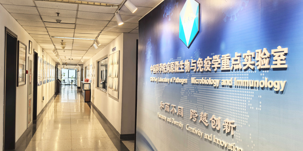 Key Laboratory of Pathogen Microbiology and Immunology of Institute of Microbiology