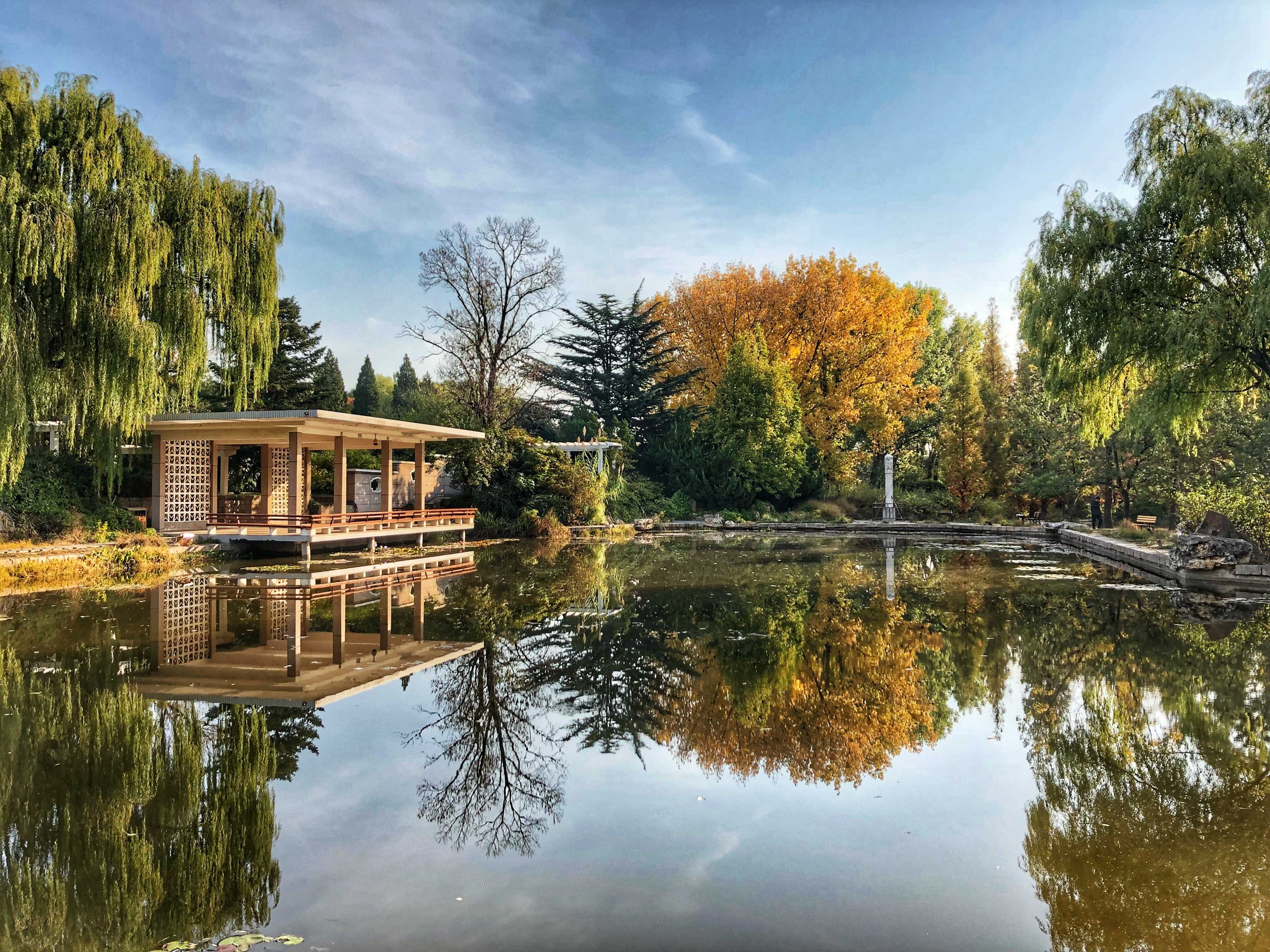 A pond in the Institute of Botany in autumn