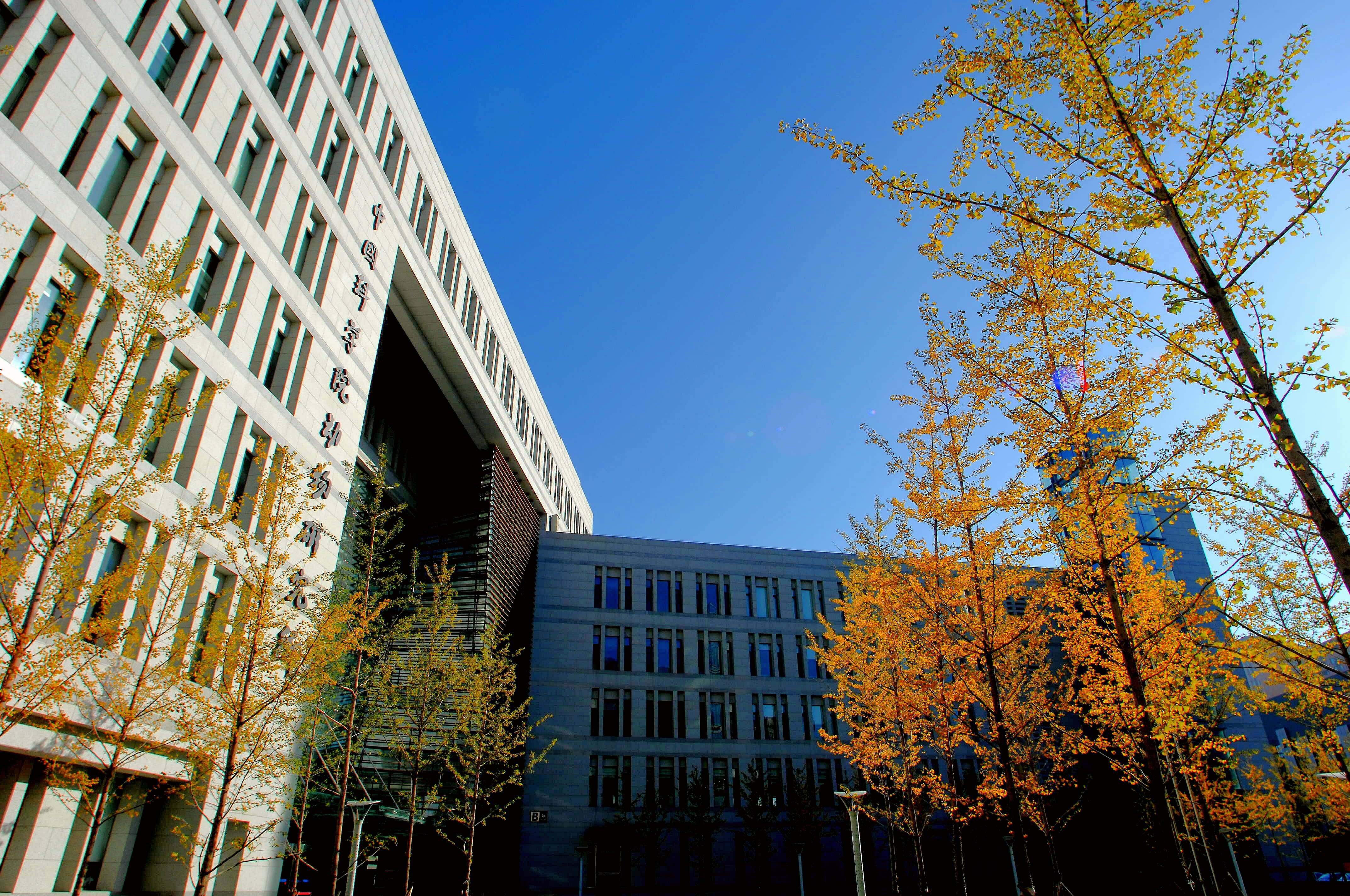 Main Building of Institute of Zoology