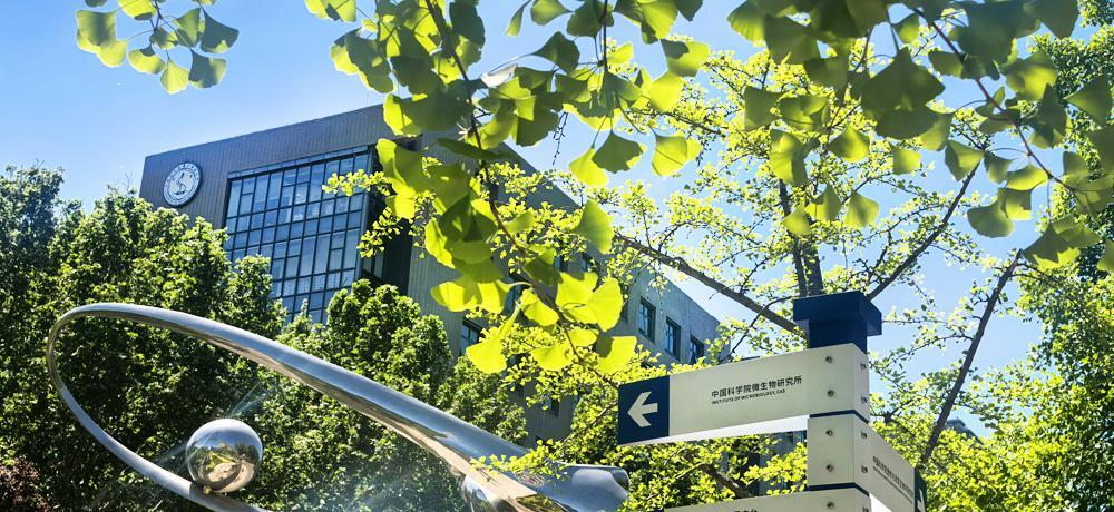 Main Campus of Institute of Microbiology