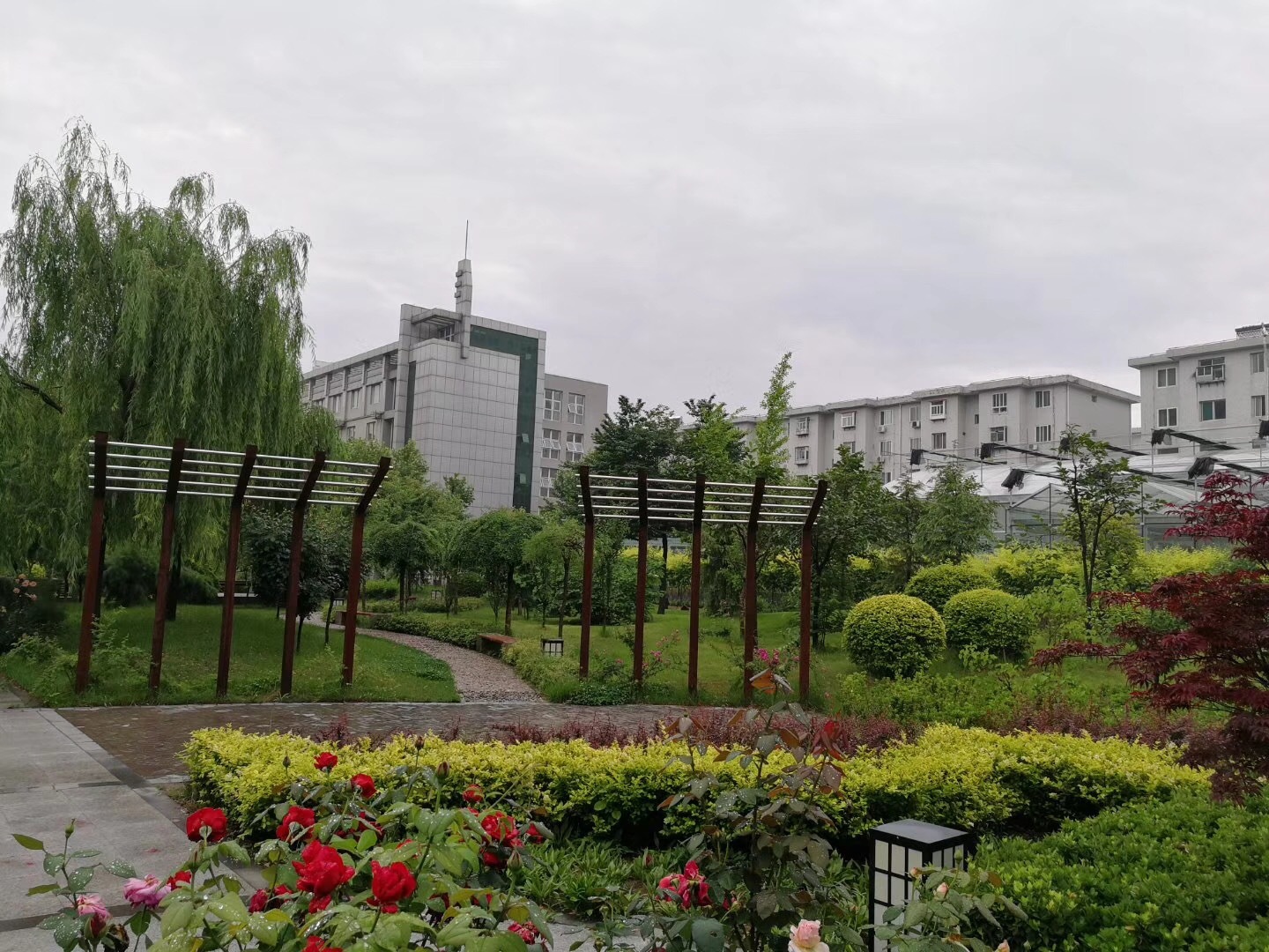 Central Park of Center for Agricultural Resources Research, Institute of Genetics and Developmental Biology