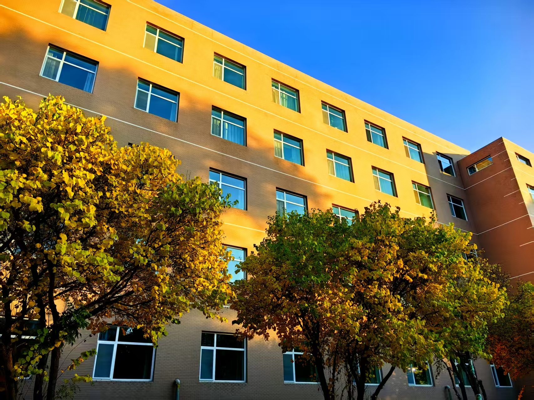 Autumn at the Qinghai Institute of Salt Lakes