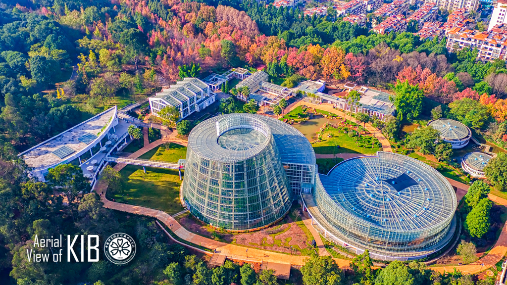 Aerial View of the Kunming Insititute of Botany