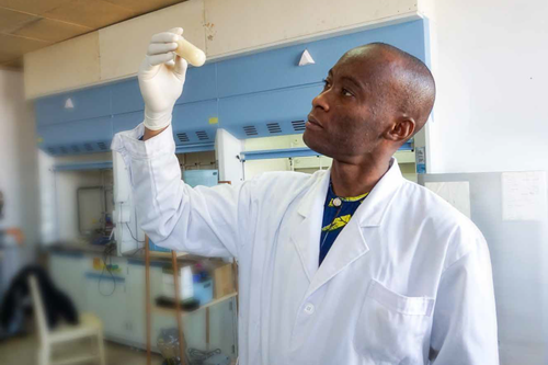 CAS-PIFI Postdoctoral Fellowship: An Exciting and Rewarding Experience